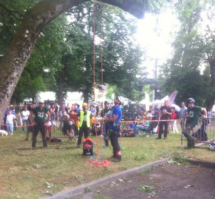 Les rencontres nationales d’arboristes grimpeurs, édition 2015
