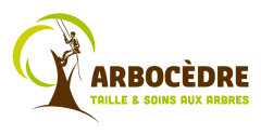 Logo transparent Arbocèdre